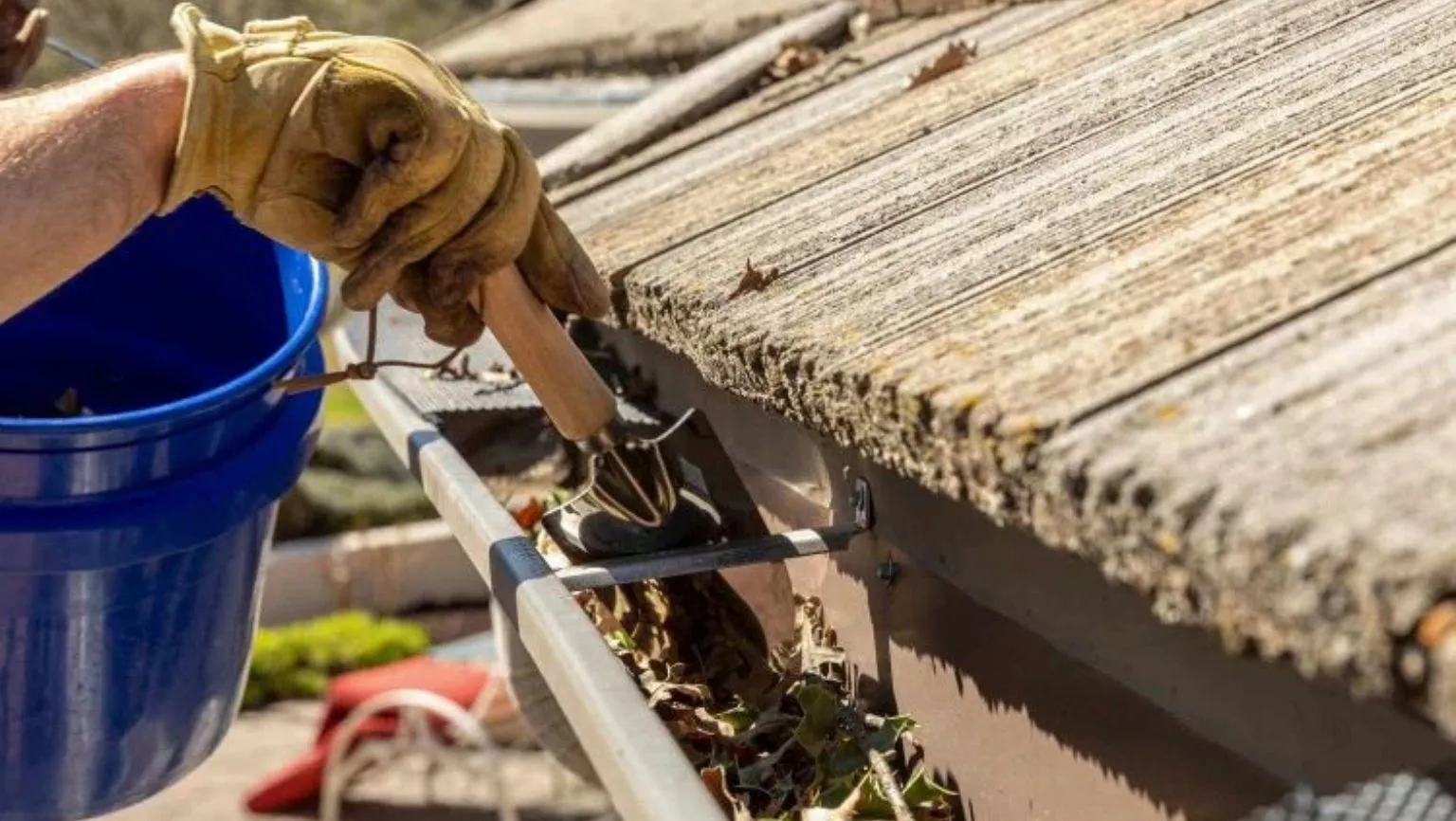 gutter cleaning services tx