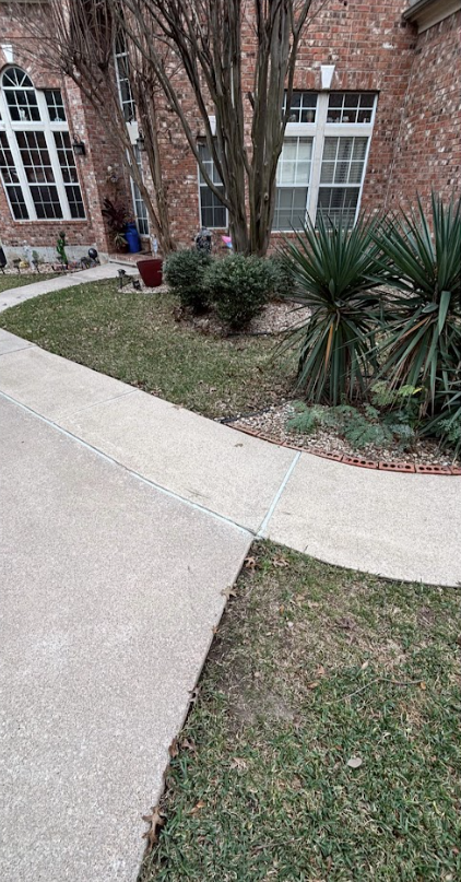 Driveway Cleaning in texas