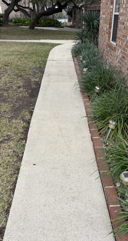 driveway cleaning