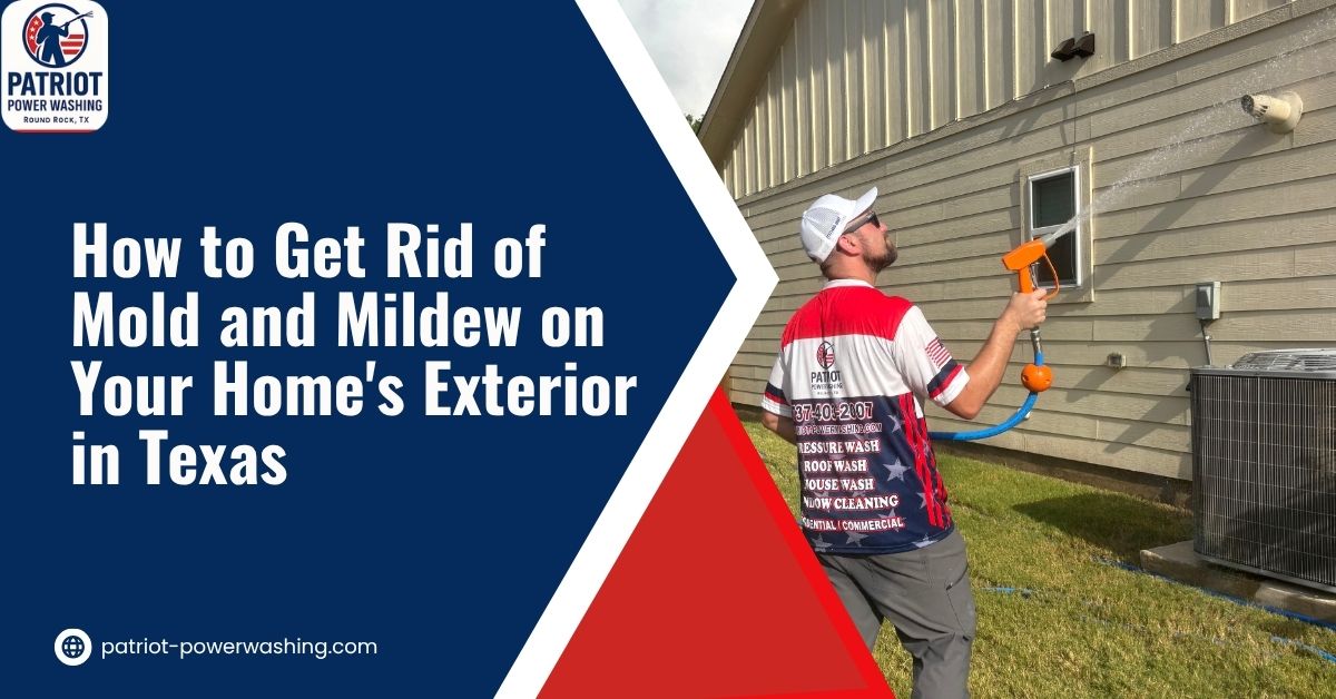 Mold and mildew growing on a Texas home's exterior siding