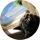 Marcia Karr profile picture