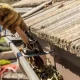 gutter cleaning services tx